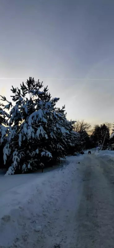 Tapтaлeтки & Ко