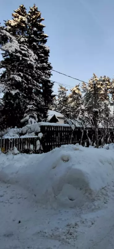 Tapтaлeтки & Ко