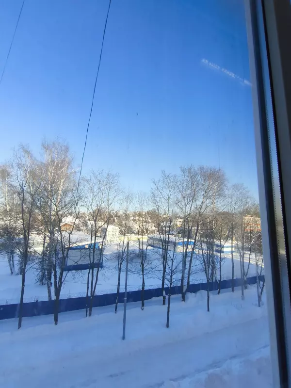 Tapтaлeтки & Ко