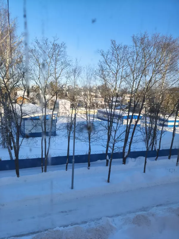 Tapтaлeтки & Ко