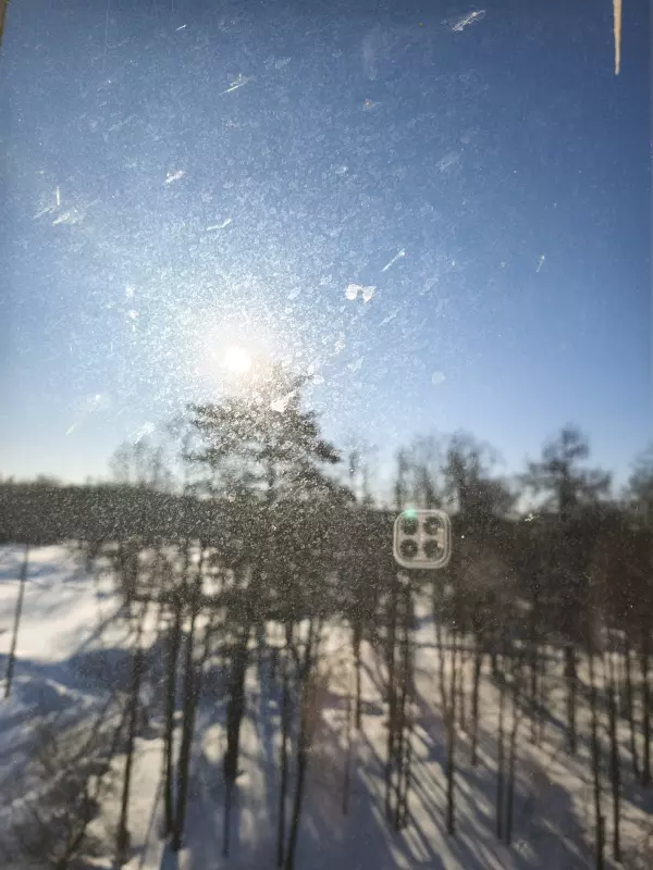 Tapтaлeтки & Ко