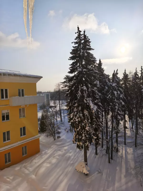 Tapтaлeтки & Ко