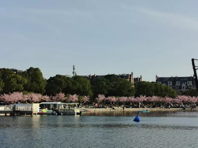 Tapтaлeтки & Ко