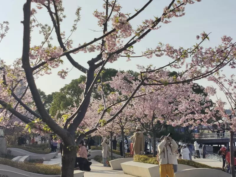 Tapтaлeтки & Ко