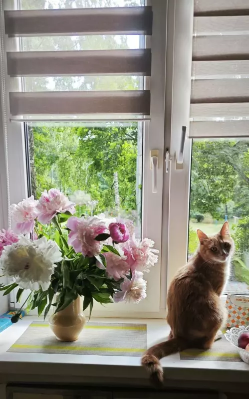 Tapтaлeтки & Ко