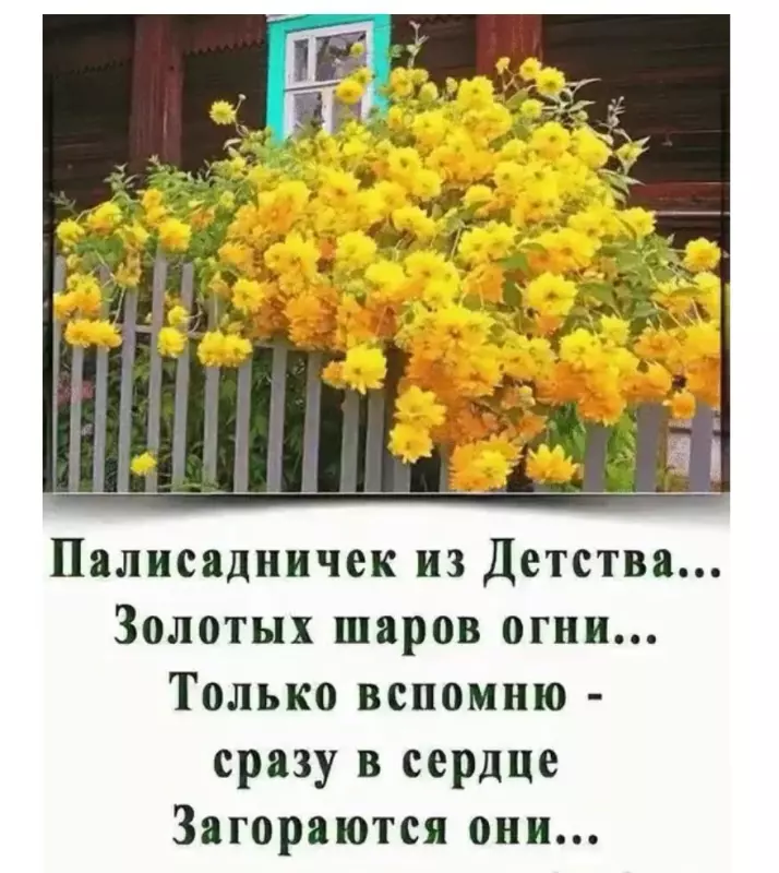 Tapтaлeтки & Ко
