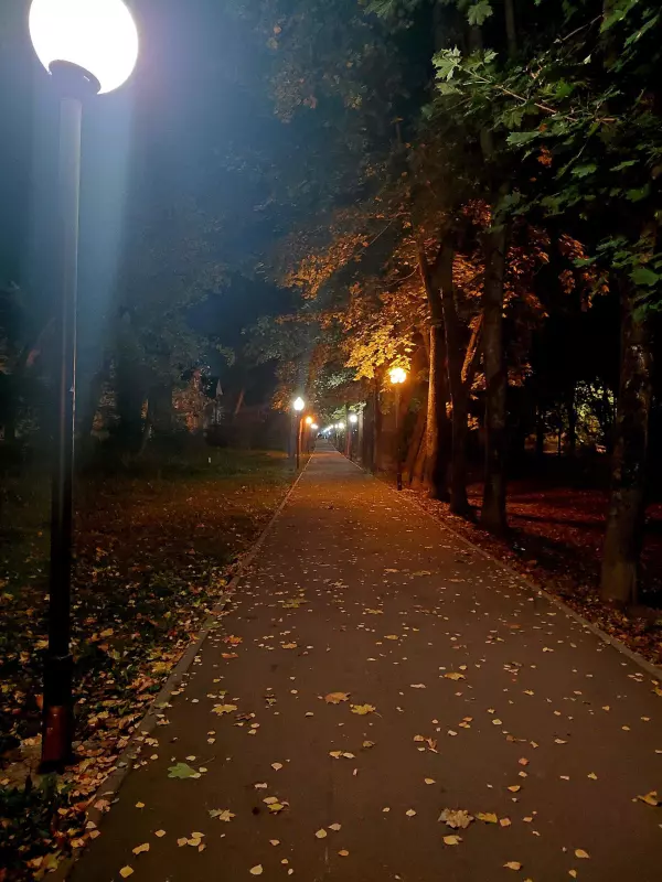 Tapтaлeтки & Ко