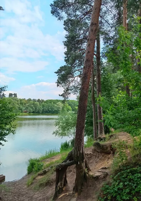 Tapтaлeтки & Ко