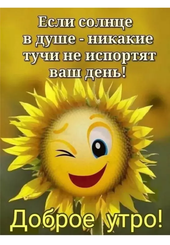 Tapтaлeтки & Ко