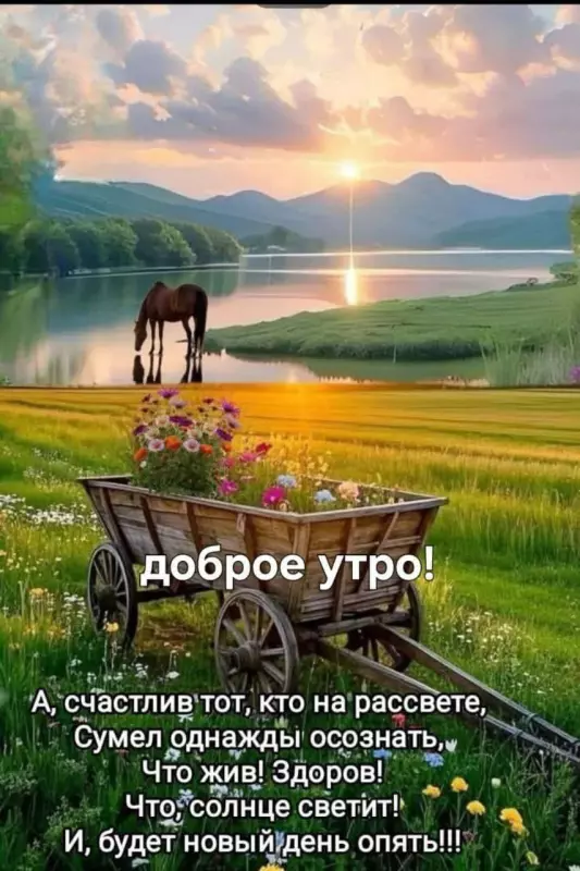 Tapтaлeтки & Ко