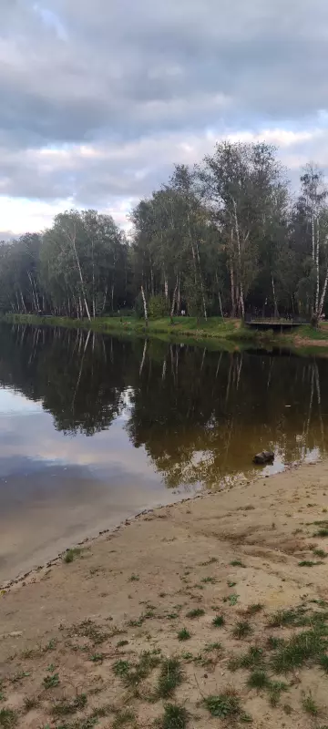 Tapтaлeтки & Ко