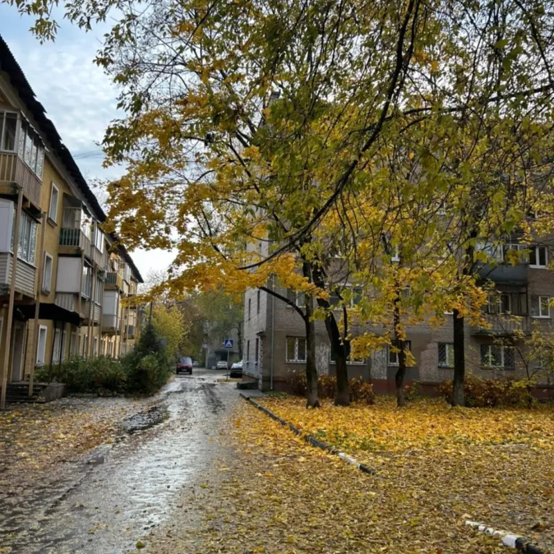 Tapтaлeтки & Ко