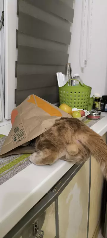 Ускорение мойки яиц