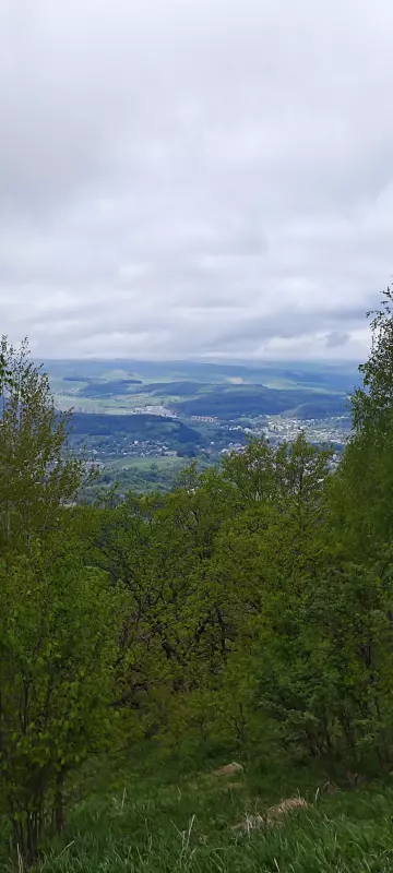 Чайная беседка