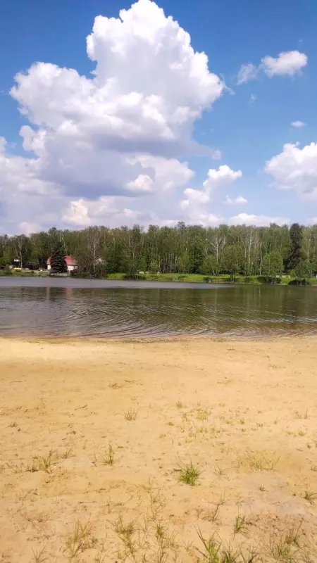 Чайная беседка