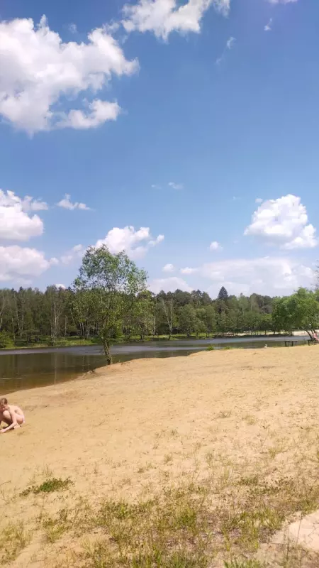 Чайная беседка