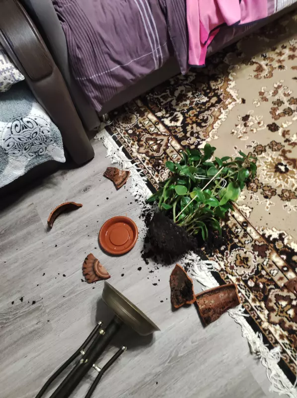 Чайная беседка