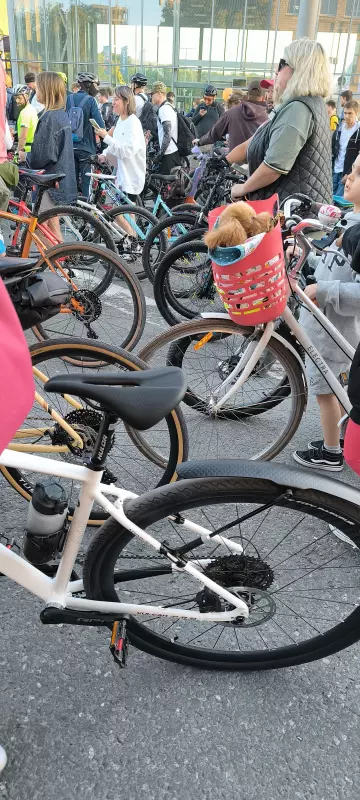 Чайная беседка