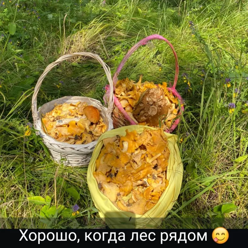 Чайная беседка