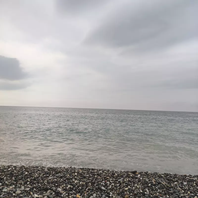 Чайная беседка