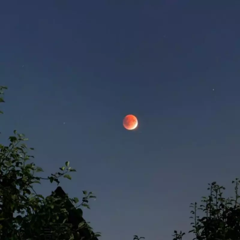 Сегодня будет лунное затмение.