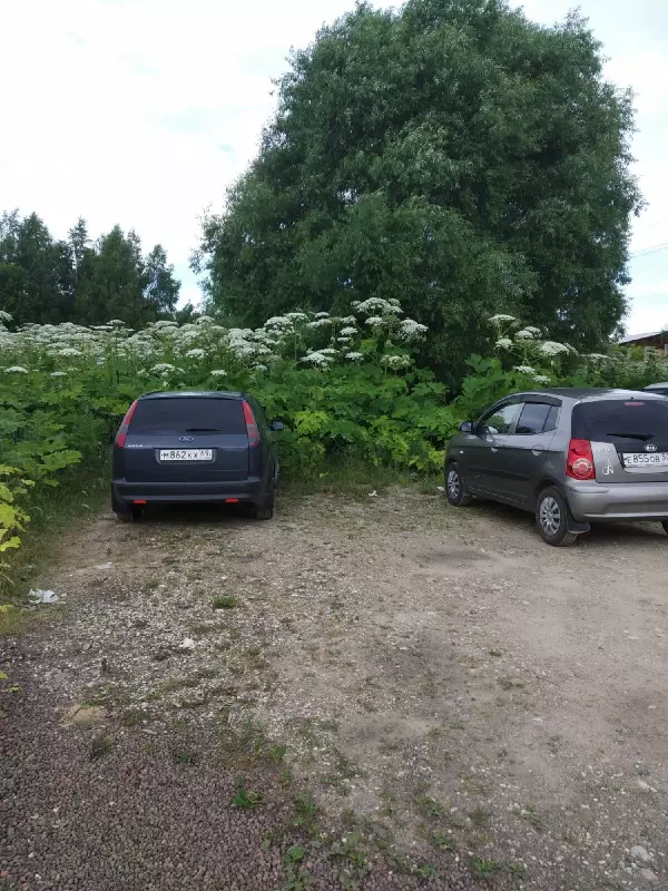Чайная беседка