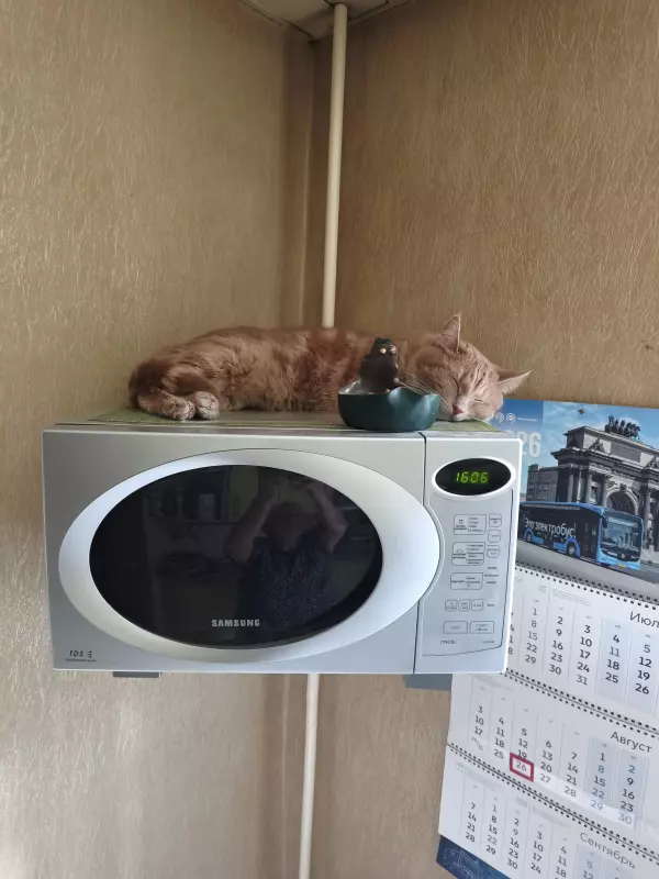 Чайная беседка