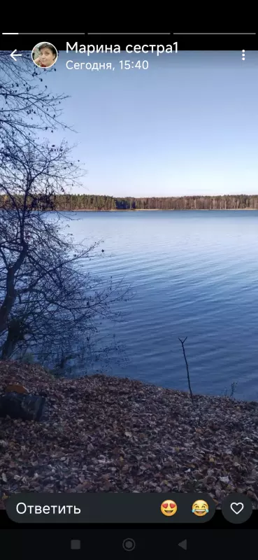 Чайная беседка