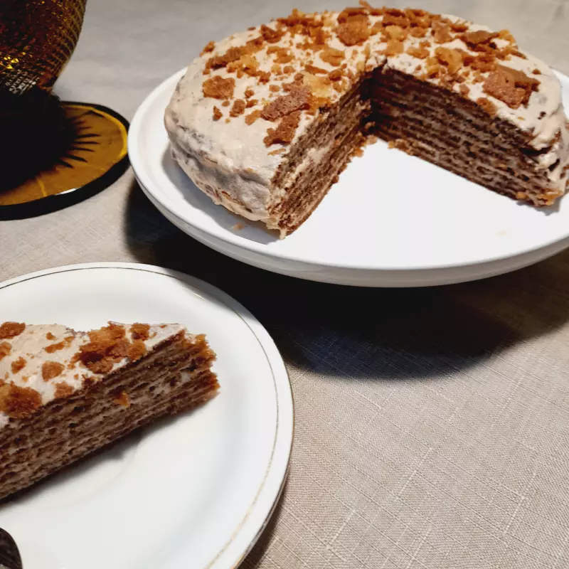 Tortilla Maker или тортилья мейкер. Чапатница или прибор для выпекания лепёшек