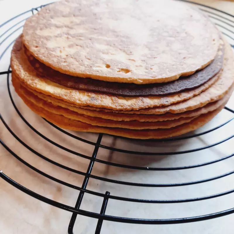 Tortilla Maker или тортилья мейкер. Чапатница или прибор для выпекания лепёшек