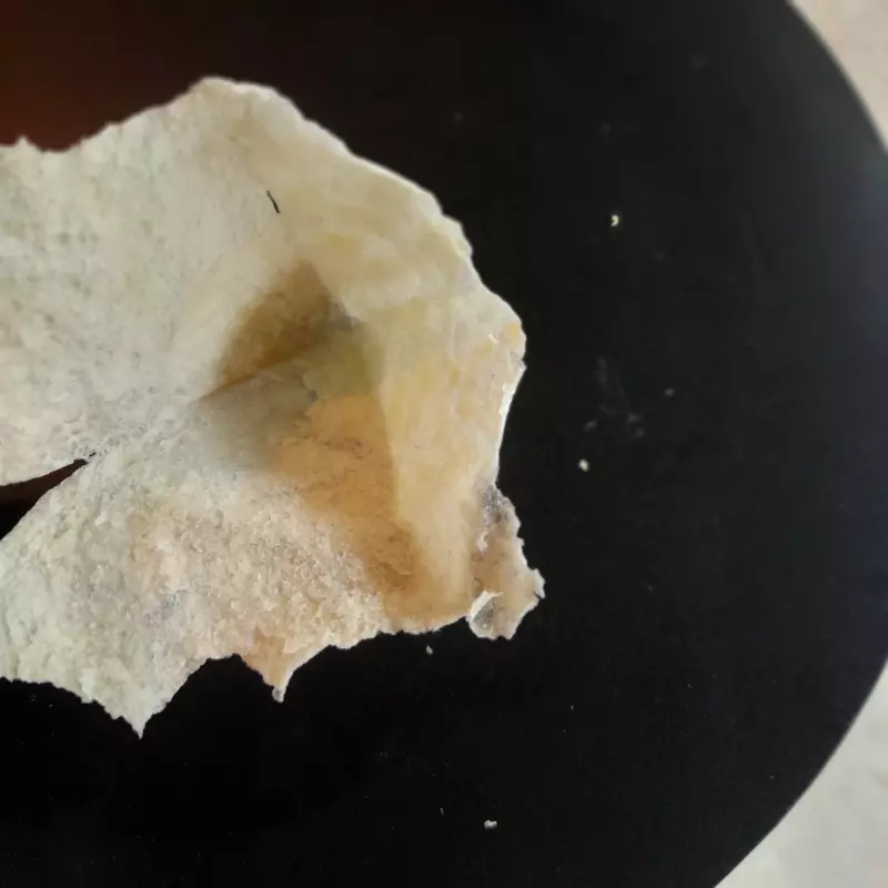 Tortilla Maker или тортилья мейкер. Чапатница или прибор для выпекания лепёшек