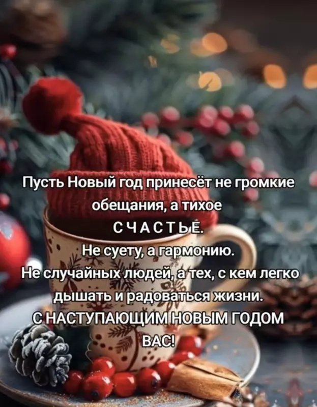 С Новым 2026 годом!