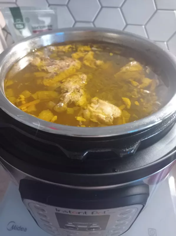 Скороварка-мультиварка Instant Pot: отзывы и рецепты