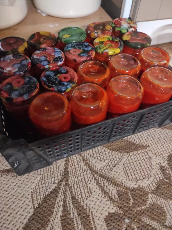 Блендер-суповарка Ninja HB150