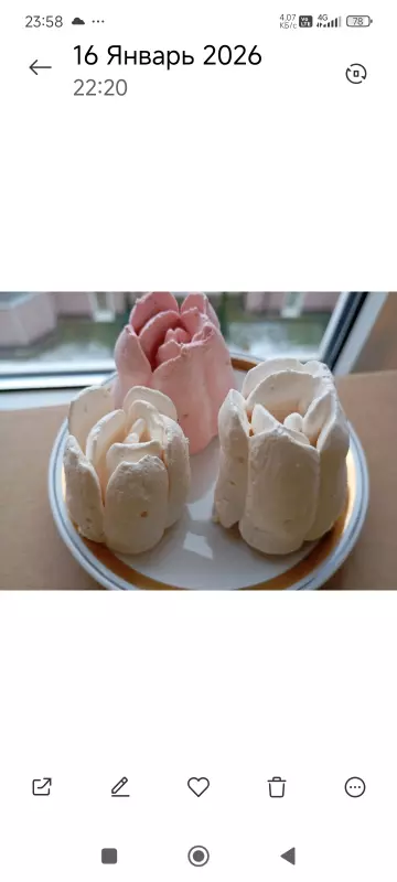 Кто имеет опыт покупки товаров на Wildberries?