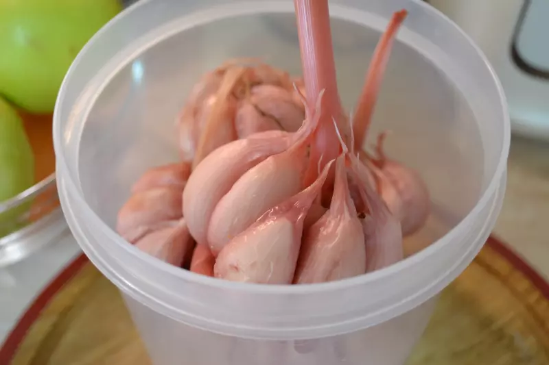 Чеснок ферментированный в красной смородине