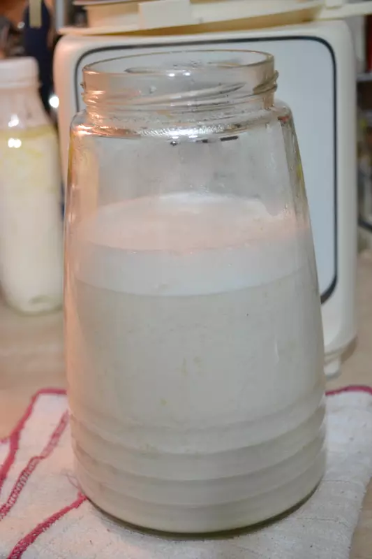 AUX  Стационарный блендер-суповарка PB119 (соевая корова)