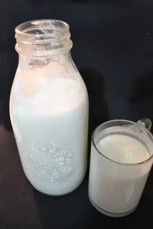 AUX  Стационарный блендер-суповарка PB119 (соевая корова)