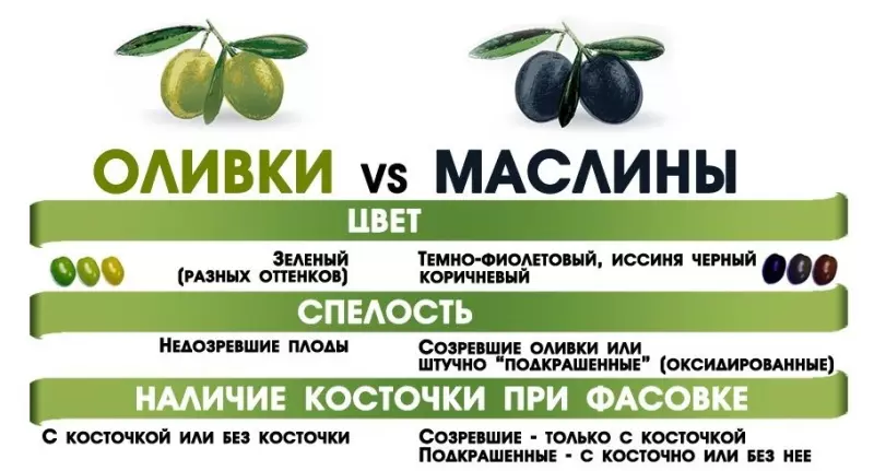 Как разобраться в оливках и выбрать вкусные