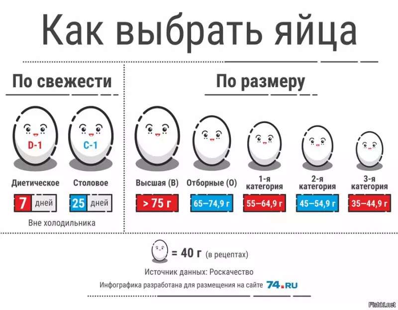 Как разобраться в маркировке куриных яиц