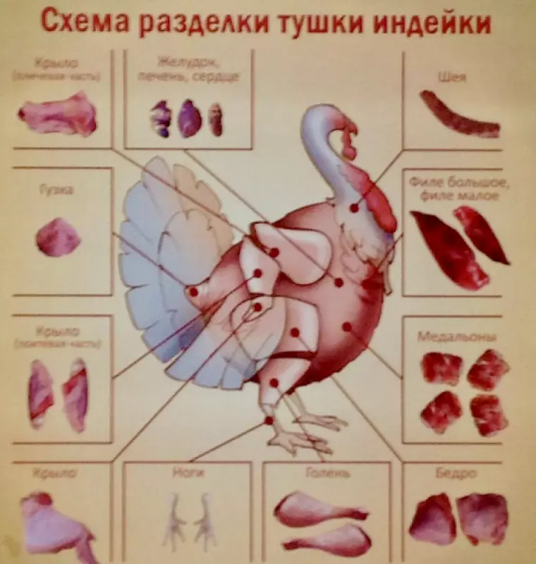 Почему разные части индейки готовят по-разному