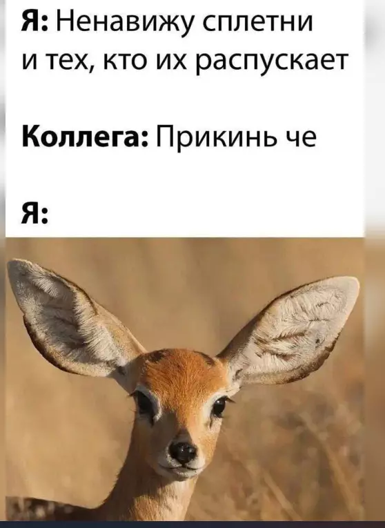 Посмеялся сам - поделись с другом!!!