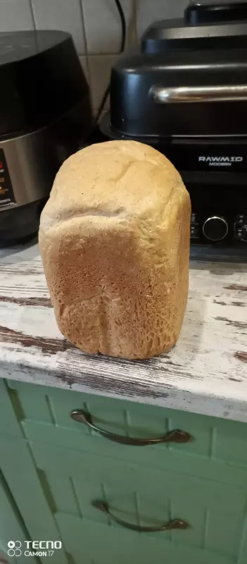 Выпечка в Hitachi HB-E303 