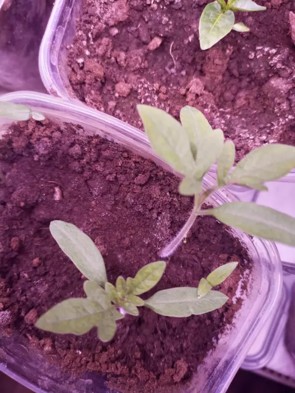 Загородная жизнь - обустройство на земле во всем разнообразии