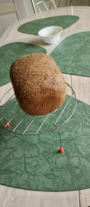 Мини-хлебопечка Panasonic SD PN100