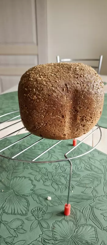 Мини-хлебопечка Panasonic SD PN100