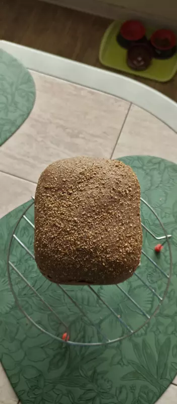 Мини-хлебопечка Panasonic SD PN100