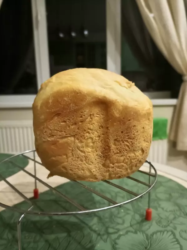 Мини-хлебопечка Panasonic SD PN100