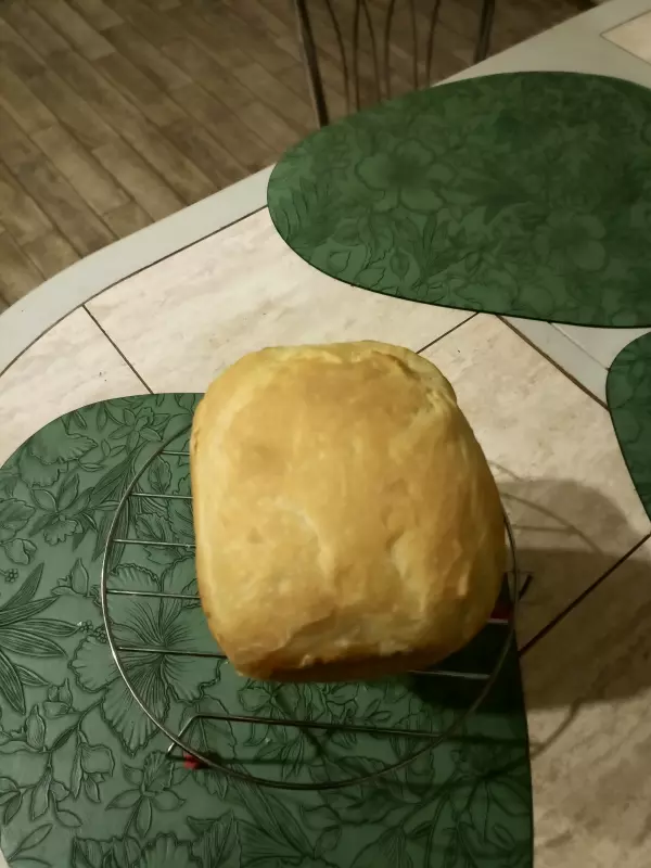 Мини-хлебопечка Panasonic SD PN100