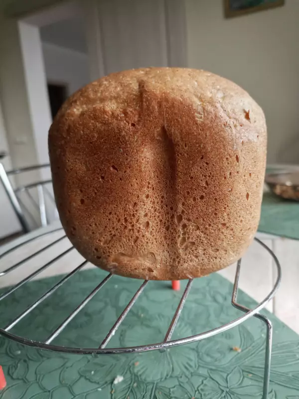 Мини-хлебопечка Panasonic SD PN100